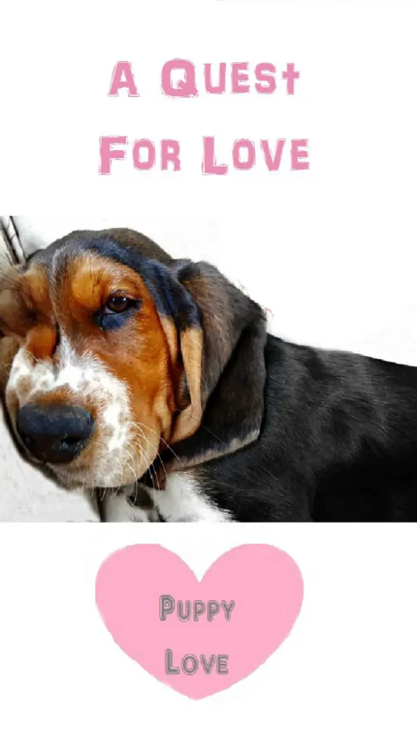 A Quest for Love; Puppy Love - such a sweet story