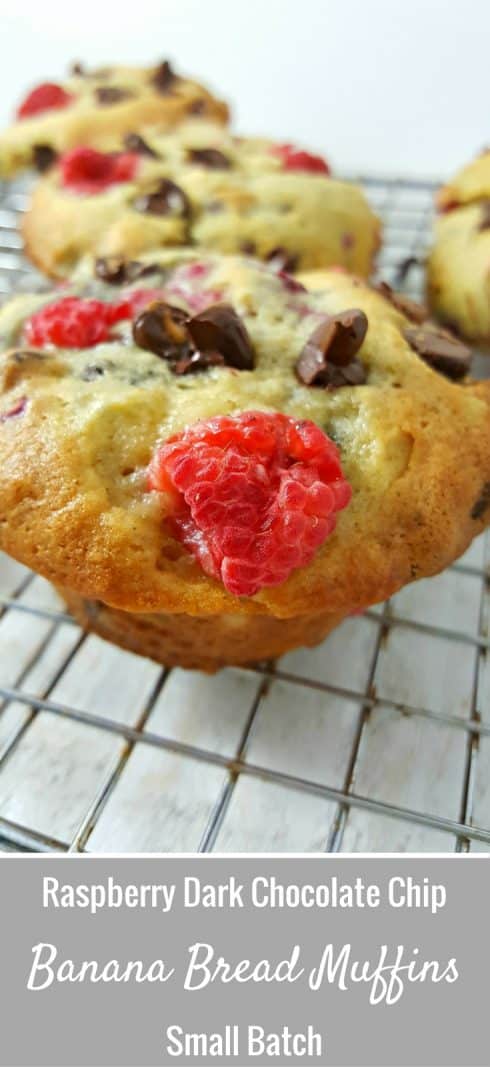 Raspberry Dark Chocolate Chip Banana Bread Muffins - These Raspberry Dark Chocolate Chip Banana Bread Muffins are delicious! I love the taste of fresh raspberries and chocolate together, especially dark chocolate. So why not put them together with banana bread ingredients and make the perfect muffin? These are perfect for breakfast, snacks, dessert, or as a side to your dinner.  Recipe yields a small batch of 6 muffins.