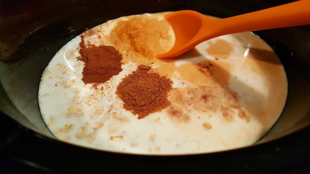 Crockpot Pumpkin Oatmeal ingredients in a slow cooker.