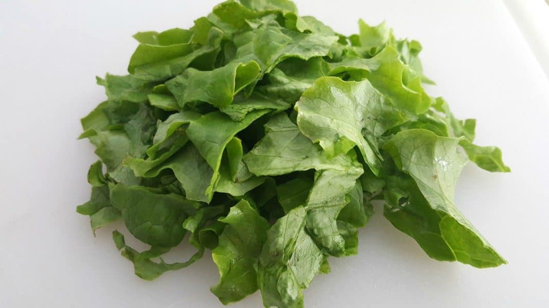 a pile of beautiful green lettuce torn into small pieces