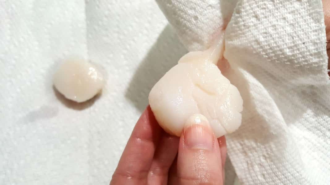 gripping the side muscle of a scallop with a paper towel