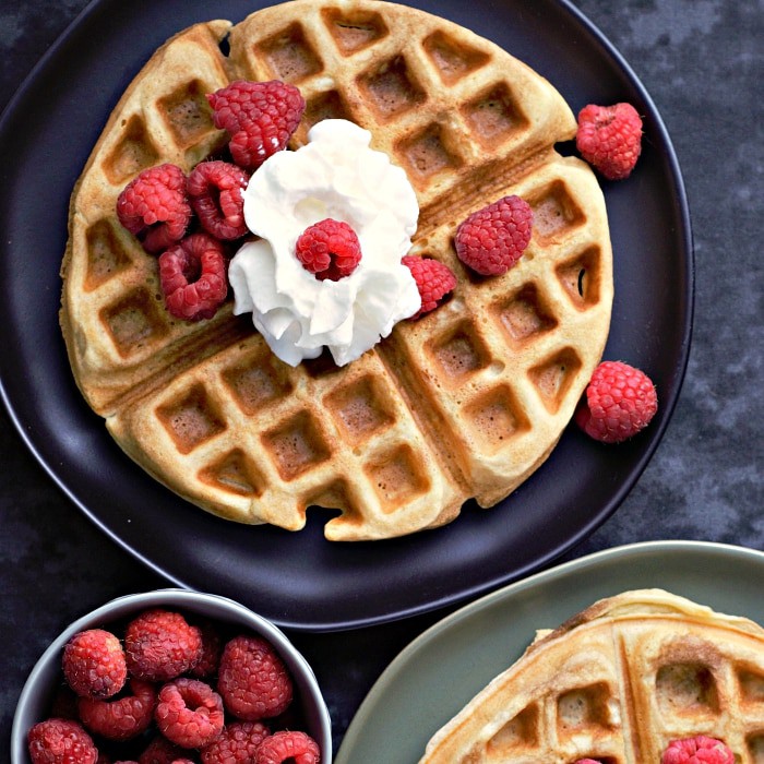 Homemade Belgian Waffles Recipe for Two • Zona Cooks