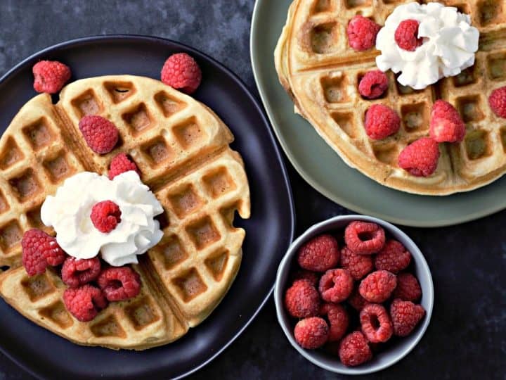 Classic Fluffy Belgian Waffles Small Batch For Two Min Zona Cooks