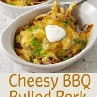 Cheesy BBQ Pulled Pork Fries Recipe for Two