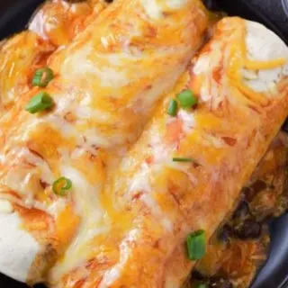 Chicken and Black Bean Enchiladas on a plate.