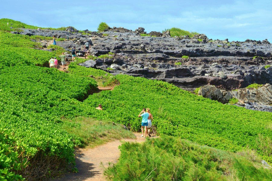 people walking on the Kapalua Coastal Trail