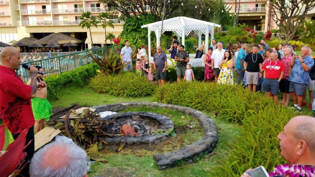 a pig cooking under ground at a luau