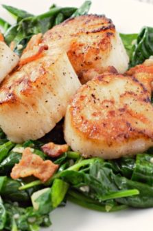 Seared Scallops with Spinach and Bacon on a plate.