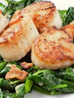 Seared Scallops with Spinach and Bacon on a plate.