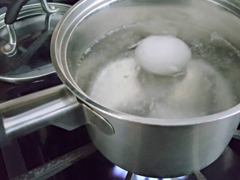 one egg boiling in water
