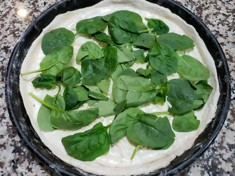 mozzarella and spinach leaves layered on pizza