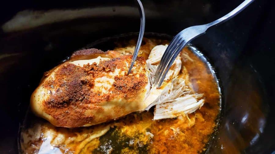 two forks shredding cooked taco chicken in a crockpot