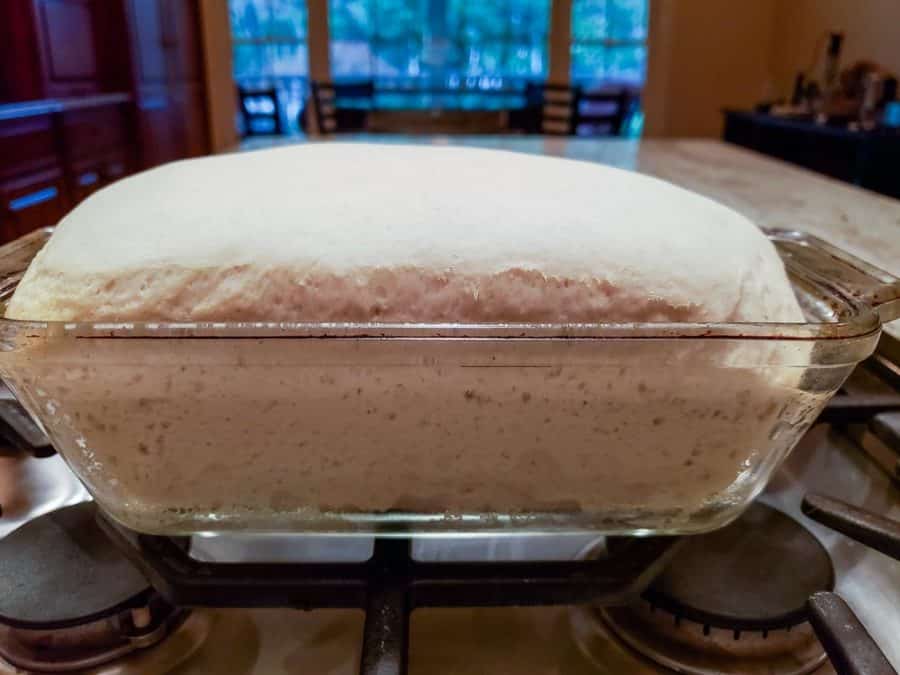 risen bread dough ready to bake