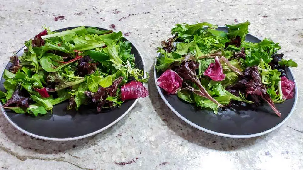 spring salad greens on two plates