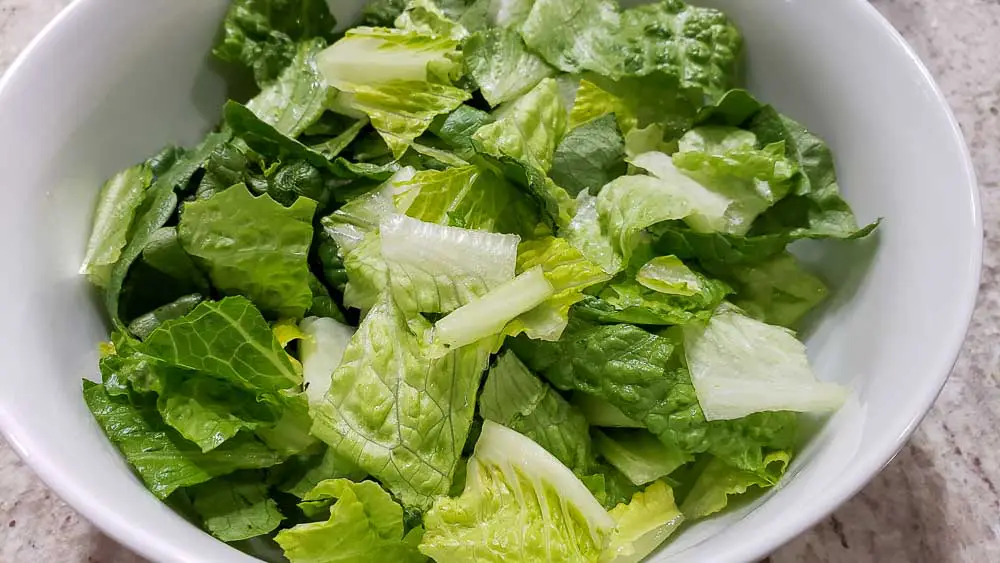 romaine lettuce chopped in a bowl.