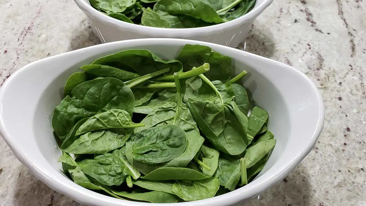 fresh spinach leaves in two baking dishes.