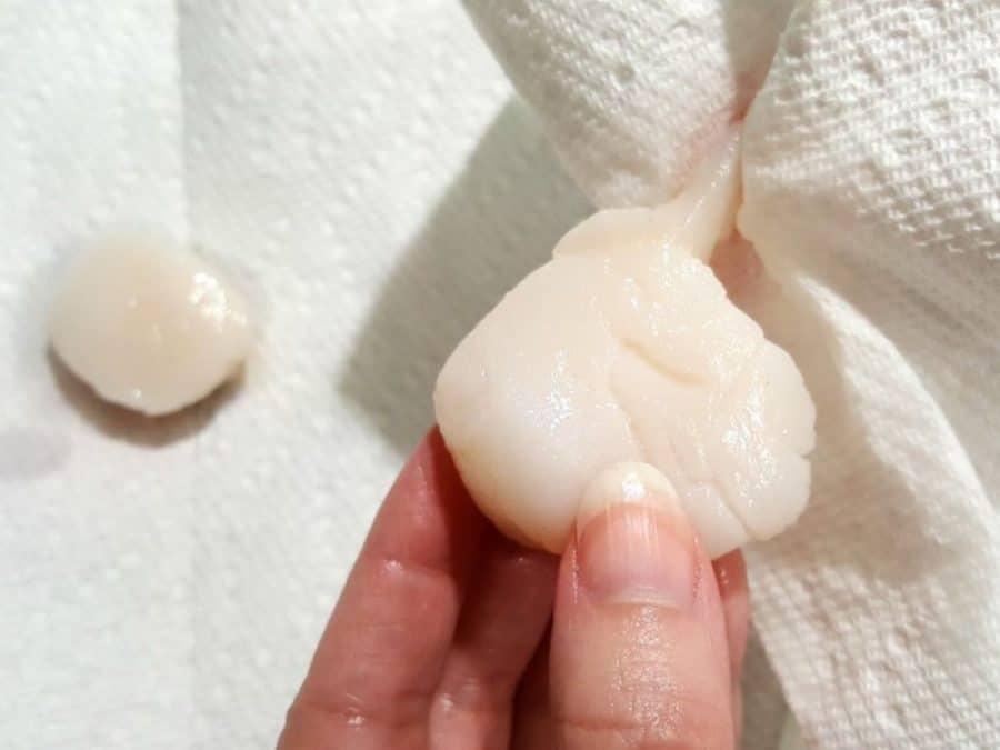 a hand pulling off the tough side muscle of a scallop with a paper towel