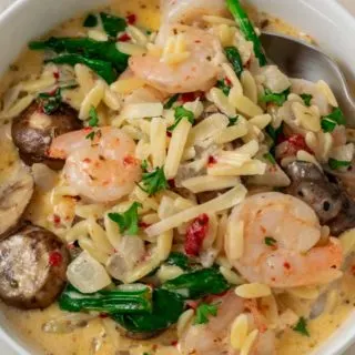 a bowl with a spoon scooing out some shrimp, orzo pasta, mushrooms, spinach, and roasted red peppers in a yellow creamy sauce