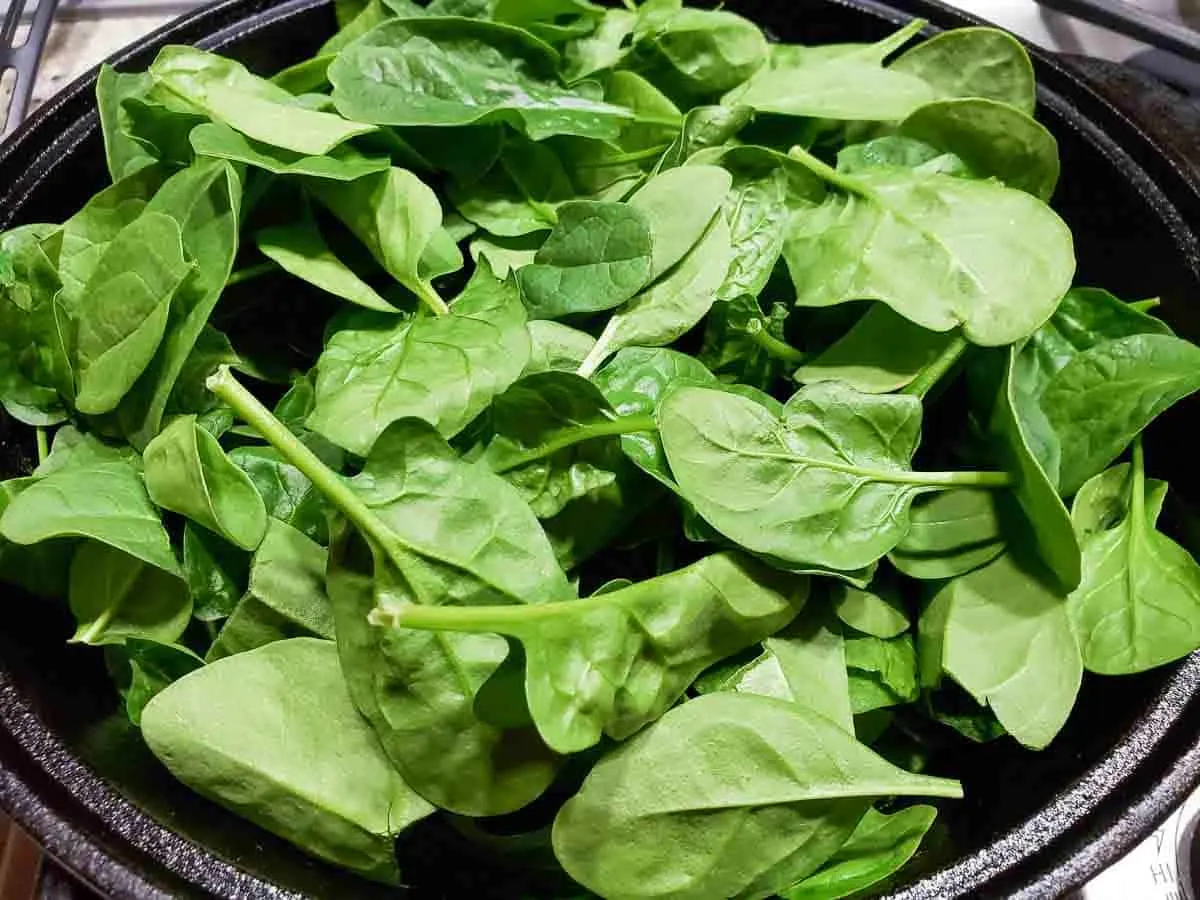 fresh spinach leaves added to a cast iron skillet