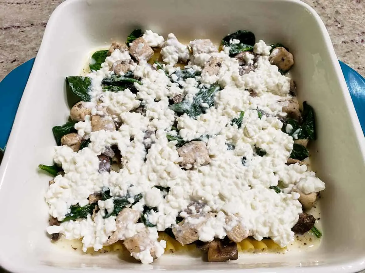 cottage cheese, chicken, spinach, mushrooms, and 3 half lasagna noodles layered over white sauce in a dish