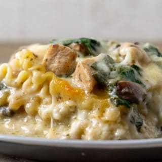 a close up front view of a plate with a large square of lasagna filled with lasagna noodles, spinach, chicken, and mushrooms in a white creamy sauce