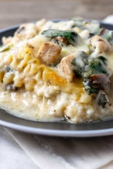 a plate with a large square of lasagna filled with lasagna noodles, spinach, chicken, cottage cheese, and mushrooms in a white creamy sauce