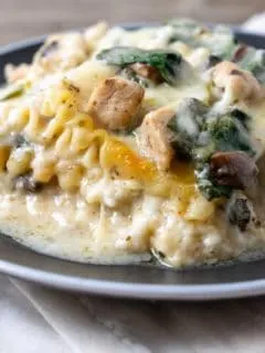 a plate with a large square of lasagna filled with lasagna noodles, spinach, chicken, cottage cheese, and mushrooms in a white creamy sauce