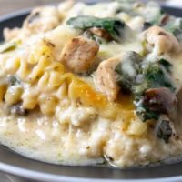 cropped-White-Chicken-Spinach-Lasagna-Recipe-for-Two-24.jpg