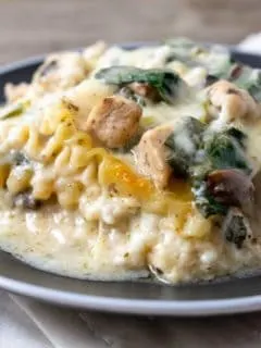 cropped-White-Chicken-Spinach-Lasagna-Recipe-for-Two-24.jpg