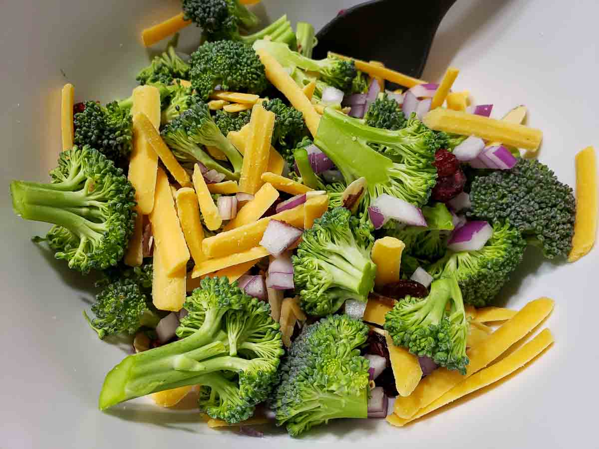 broccoli florets, diced red onion, dried cranberries, and shredded cheddar cheese in a bowl