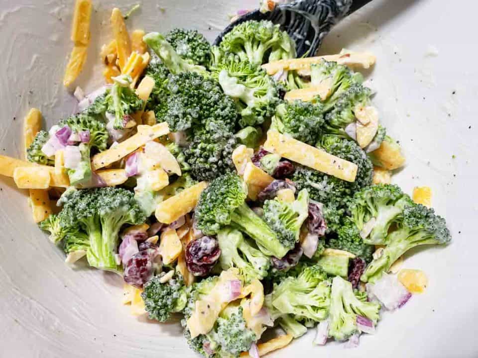 Cold Broccoli Salad (Small Batch for Two) • Zona Cooks