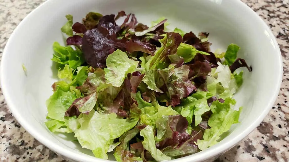 lettuce in a bowl.