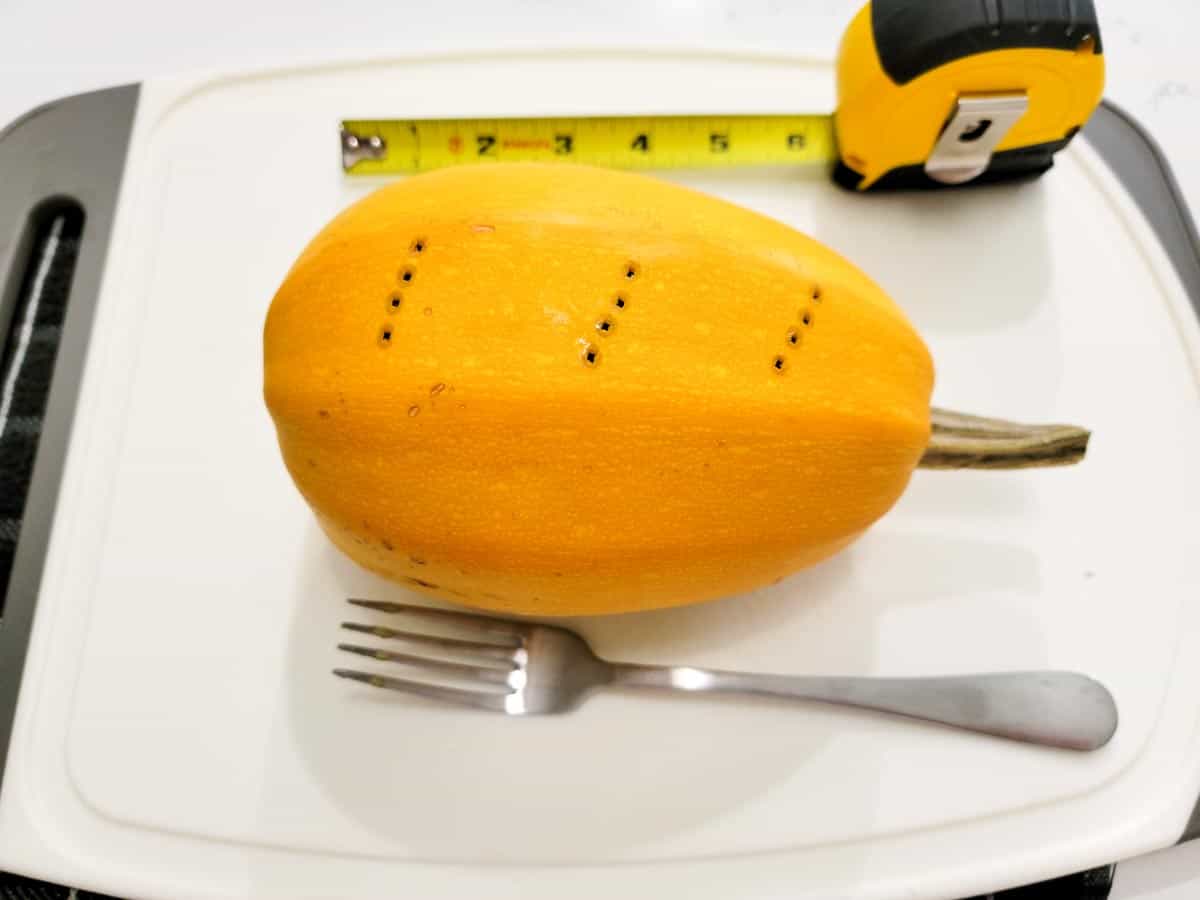 a small spaghetti squash poked with holes from a fork and a measuring tape on the side.