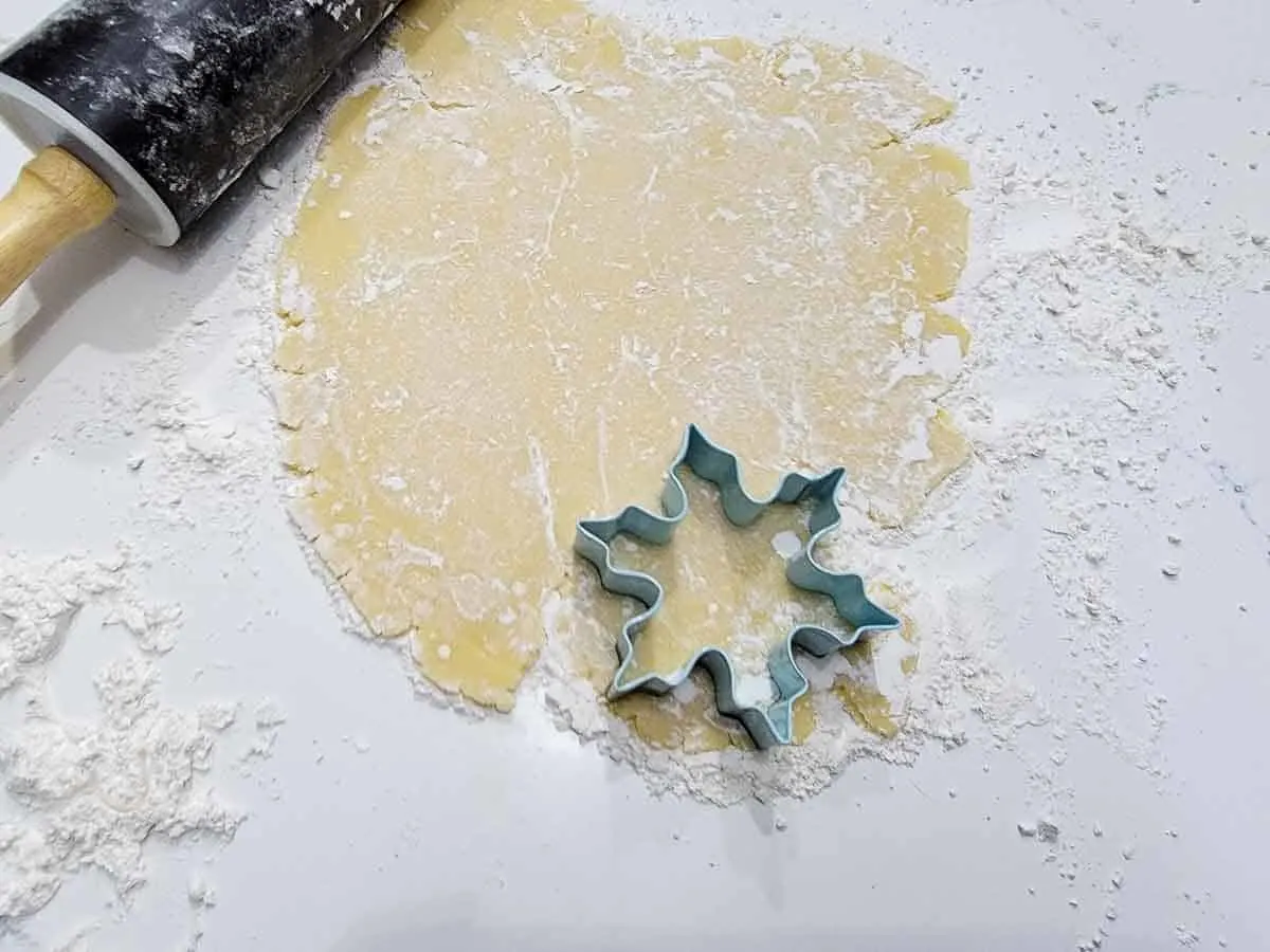 a cookie cutter pressed into sugar cookie dough.