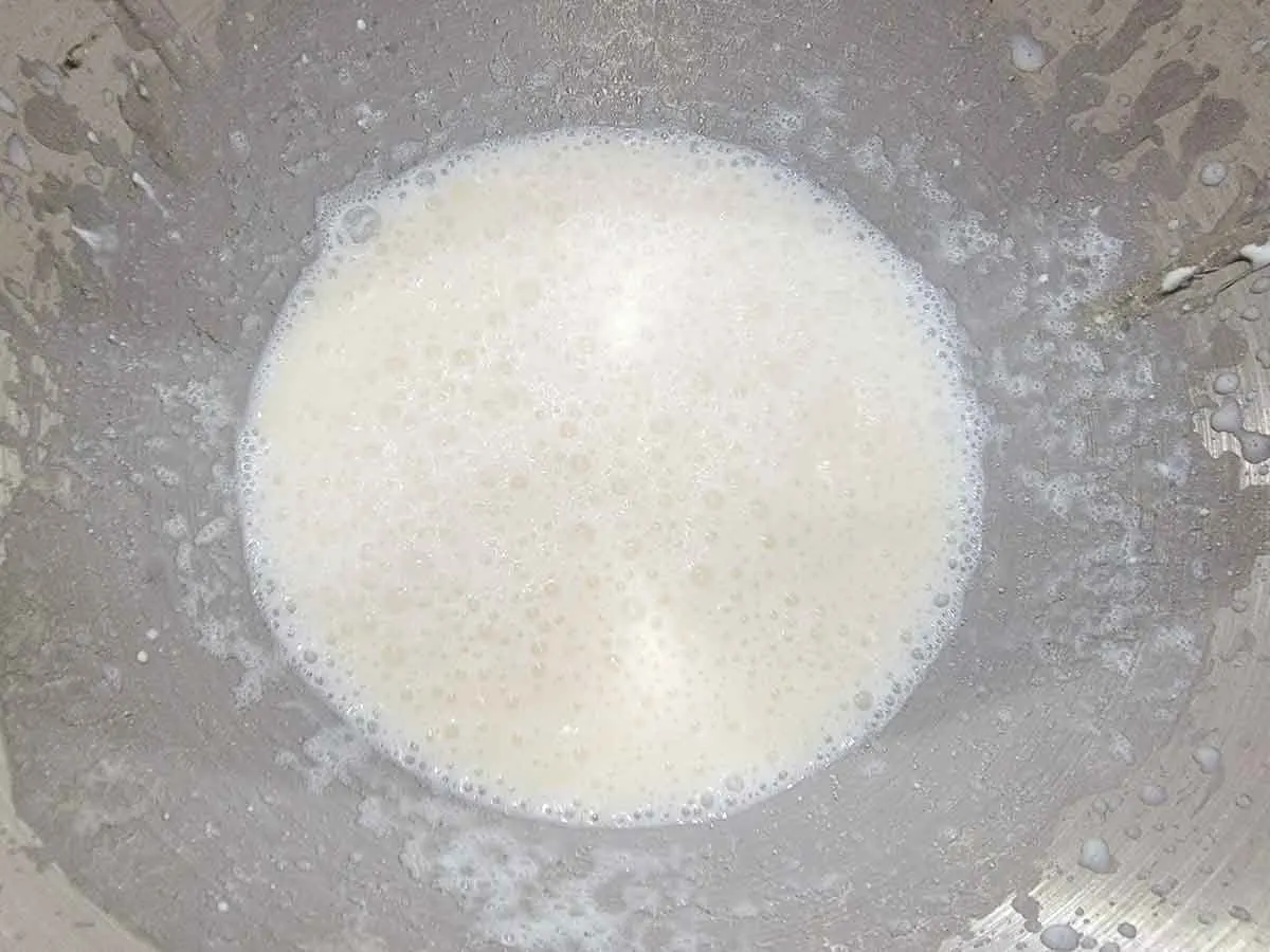 yogurt, olive oil, salt, and honey whisked into yeast mixture.