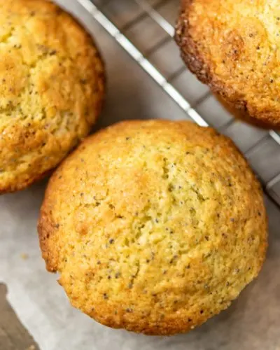 Lemon Poppy Seed Muffins with Sour Cream