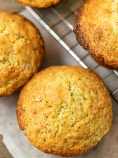 cropped-Lemon-Poppy-Seed-Muffins-with-Sour-Cream-17.jpg