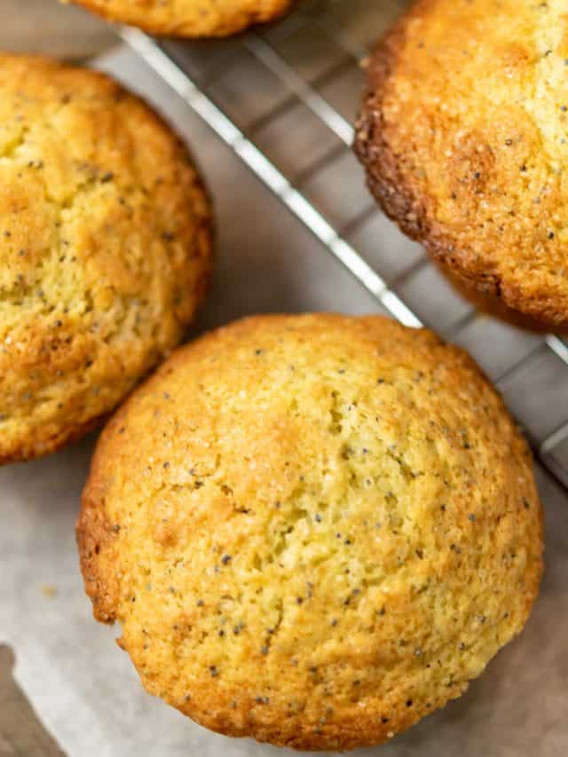 Lemon Poppy Seed Muffins without Yogurt • Zona Cooks