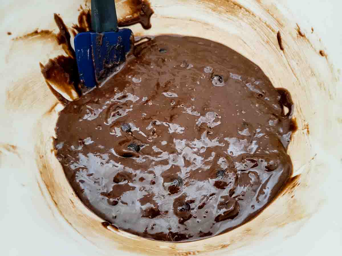 chocolate blueberry brownie batter in a bowl.