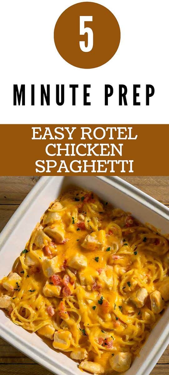 5 minute prep Easy Chicken Rotel Spaghetti.