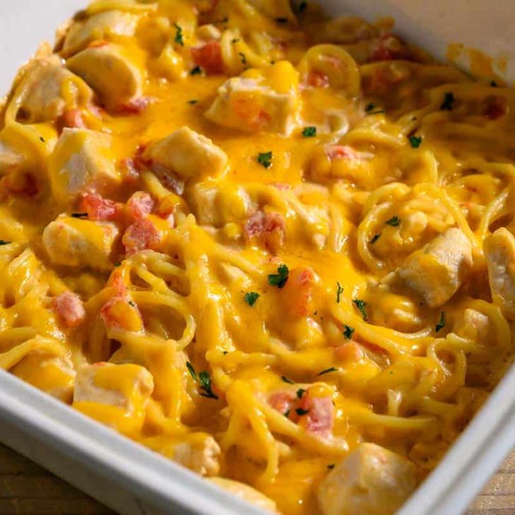 Creamy Chicken Noodle Casserole • Zona Cooks