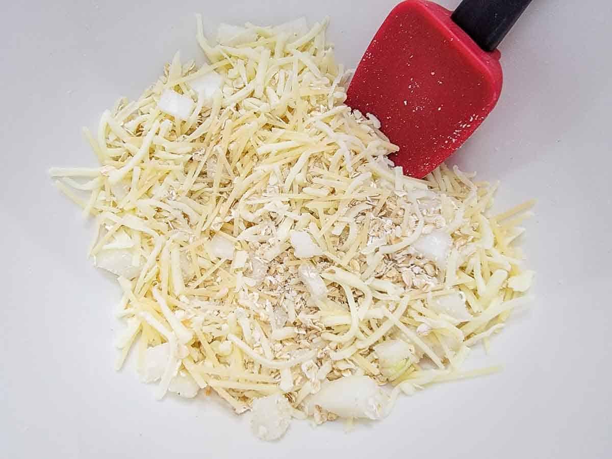 oatmeal, mozzarella, parmesan, diced onions and salt in a bowl.