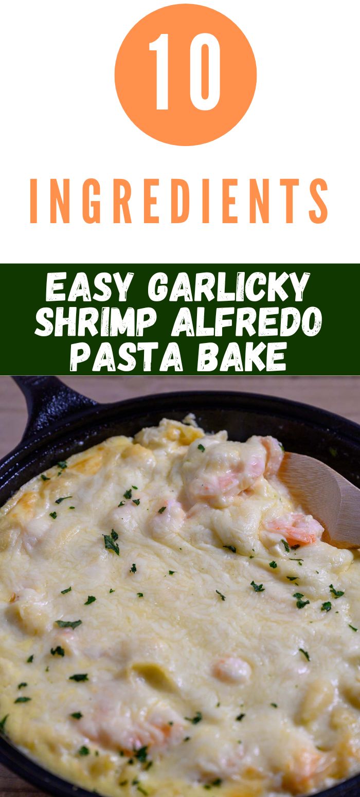 10 ingredient easy garlicky shrimp alfredo pasta bake in a cast iron skillet.