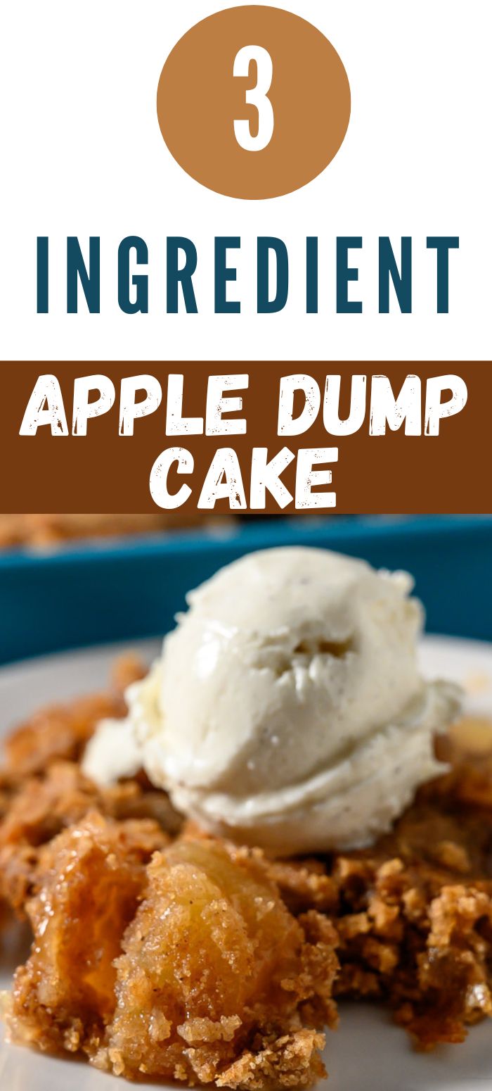 3 ingredient apple dump cake topped with ice cream on a plate.