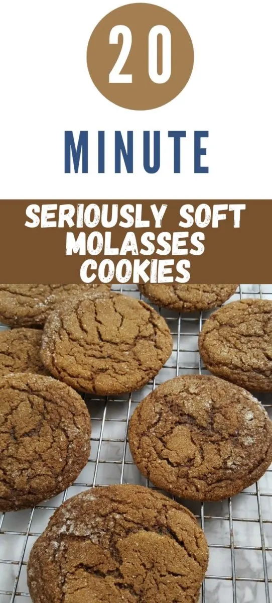 Seriously Soft Molasses Cookies on a wire rack.