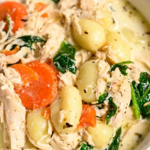 Chicken Gnocchi Soup in a serving bowl.