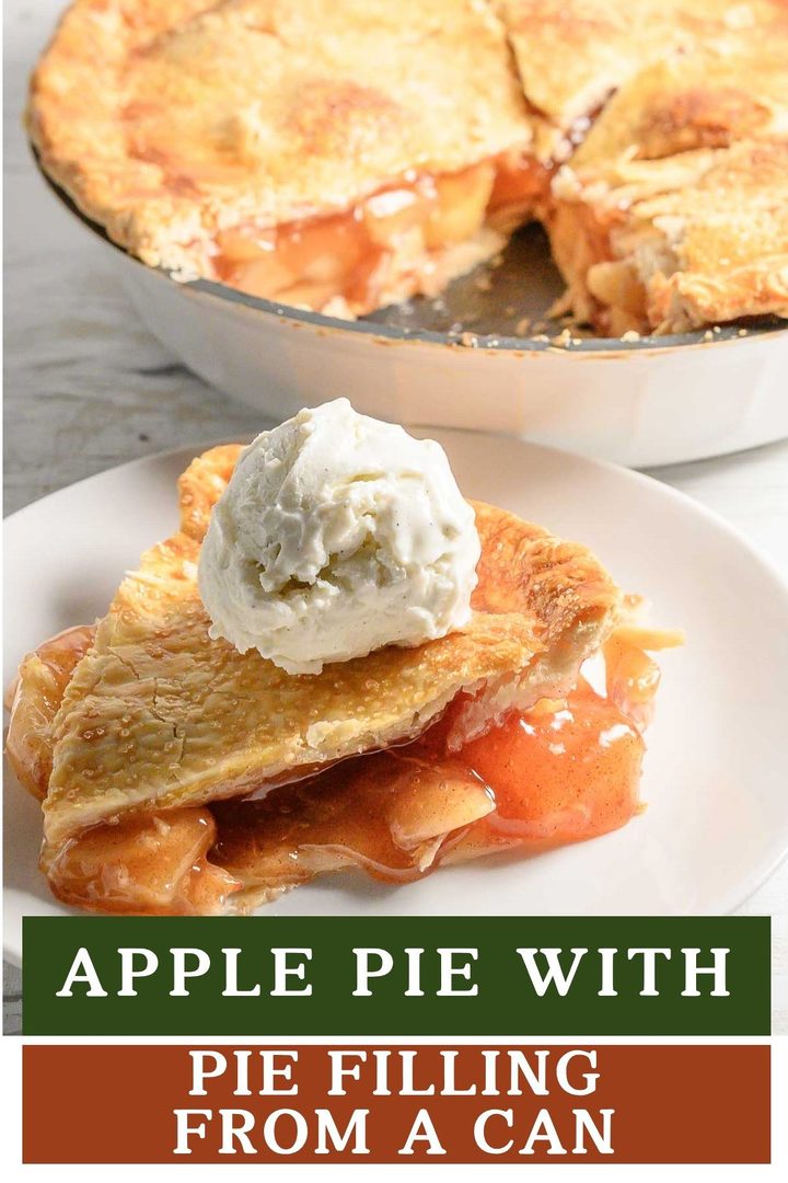 a slice of 7 Ingredient Cinnamon Apple Pie on a plate.