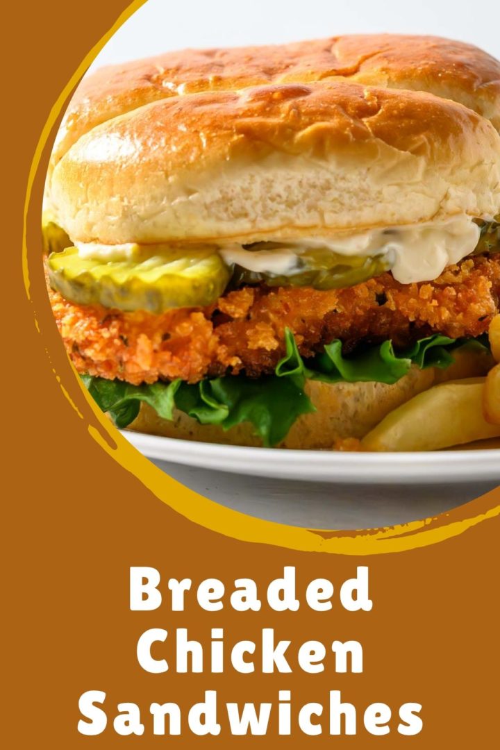 breaded chicken sandwich and fries on a plate.