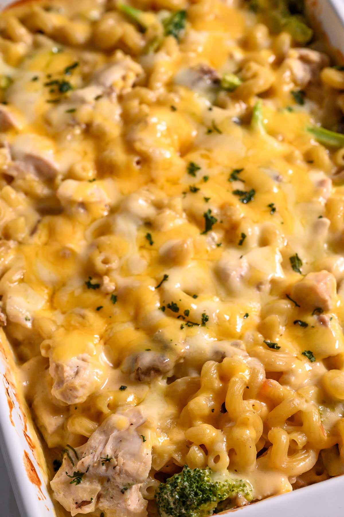 condensed soup, chicken broth, salt, pepper, garlic powder, onion powder, broccoli, raw chicken, uncooked cavatappi pasta, and cheese in a baking dish.